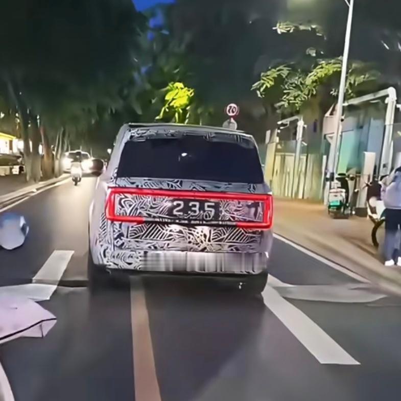 还真是这样婶的尾灯 