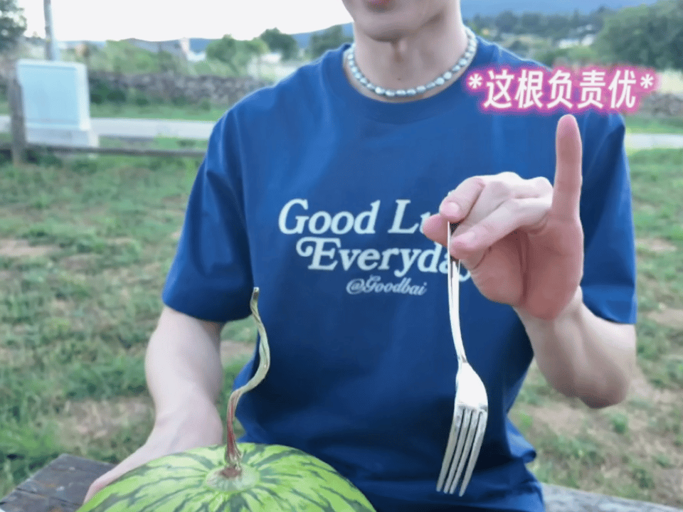 笑死我了，这根负责优，这根负责雅，好抽象 ​​​