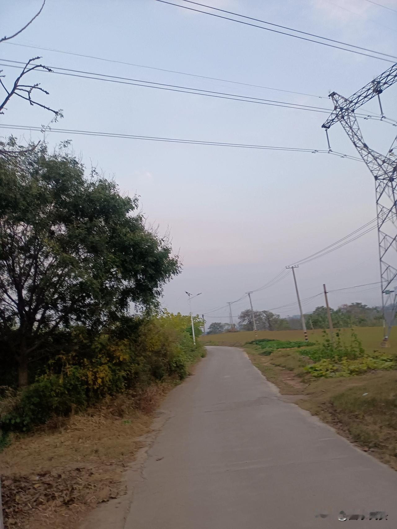 农村生活最好
我最喜欢农村，安静空气好，没有吵闹声音，全是大爷大妈没有事聊八卦，