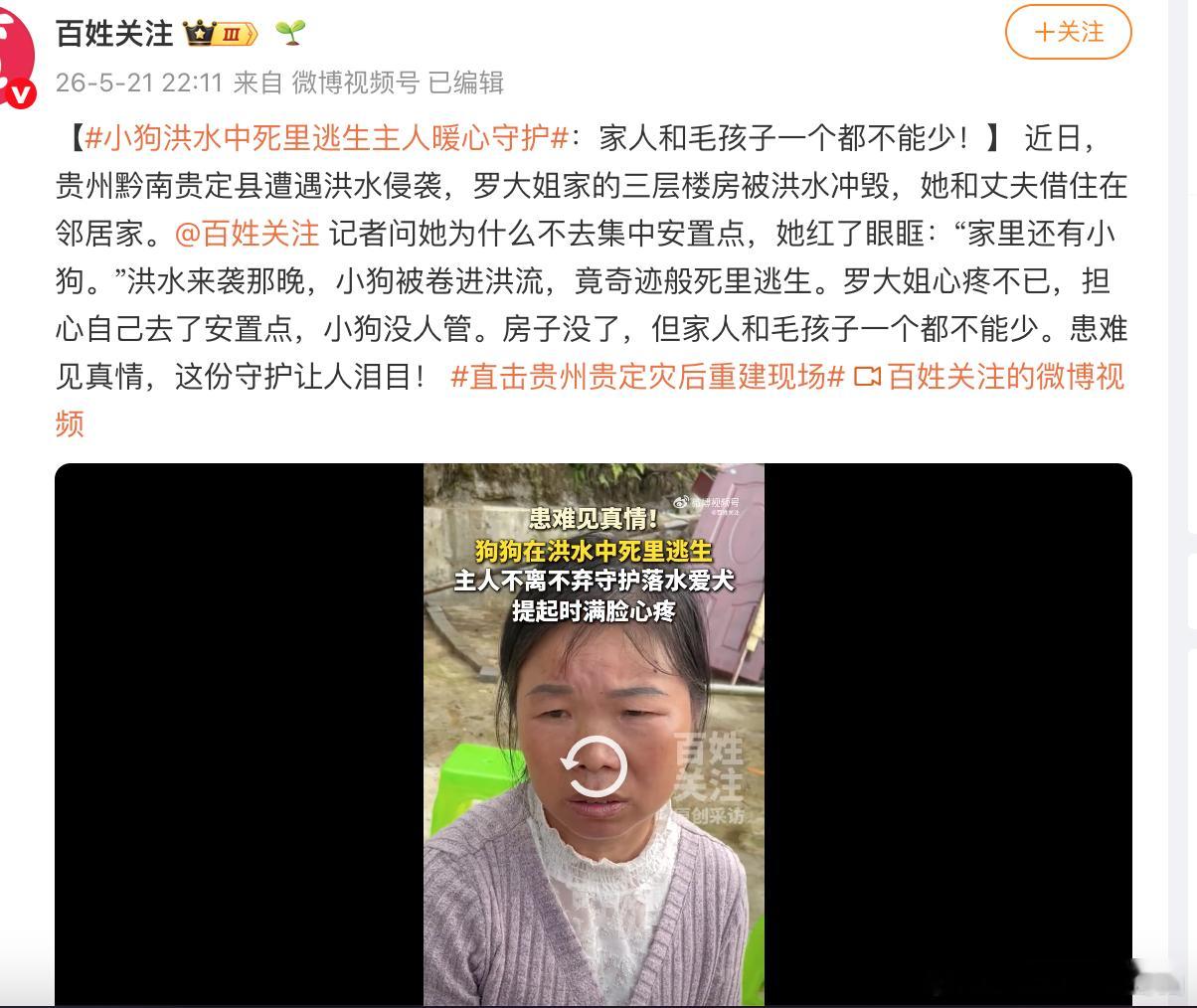 小狗洪水中死里逃生主人暖心守护本台记者报道：万物有灵 