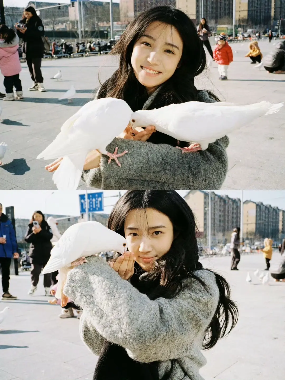 🕊️。