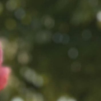 每日一善‎每日一善 阳光信用 用心甘情愿的态度，过随遇而安的生活。遗憾，随风散去