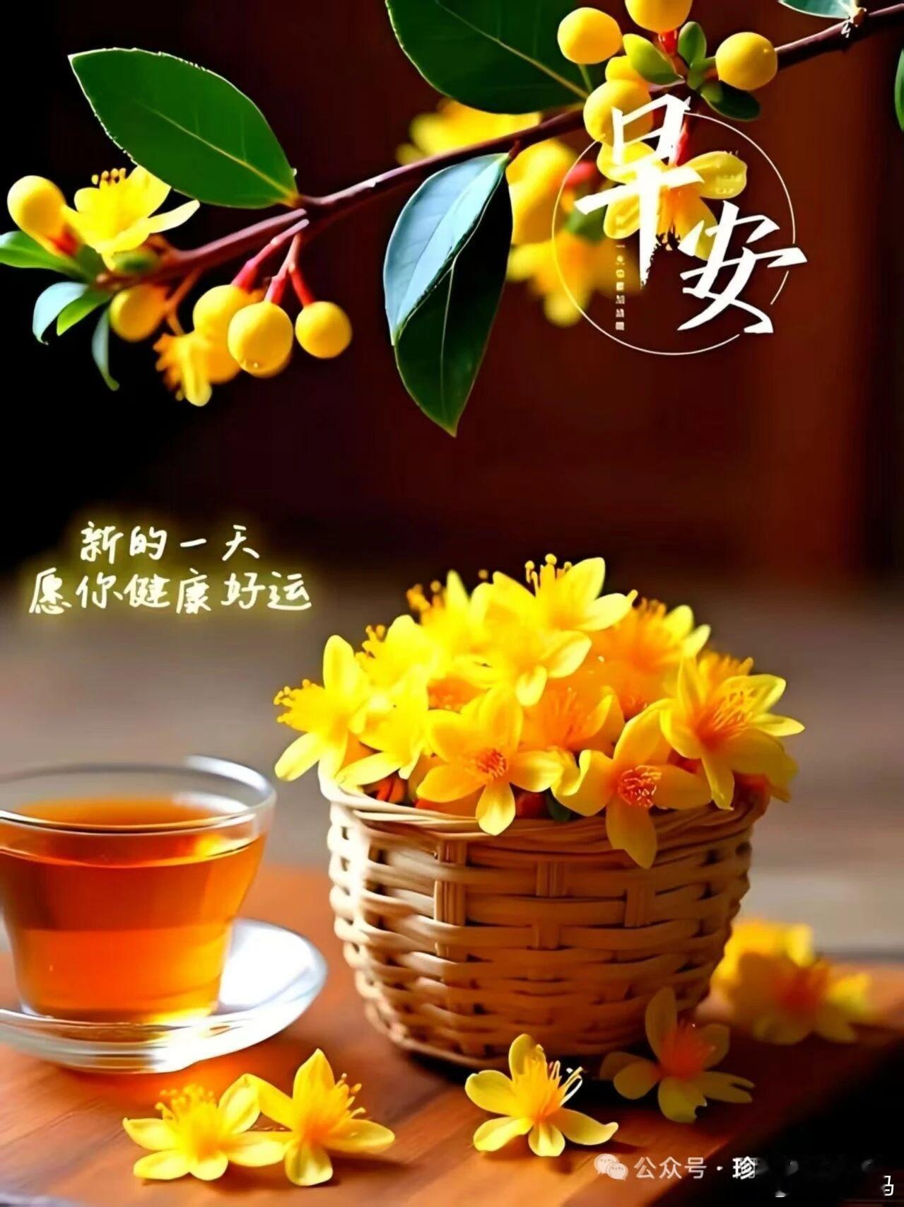 人只有专注自己的时候，才会变得开明，好相处。精力在别人身上时，就会拧巴又焦虑。 