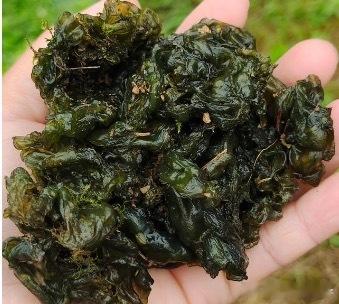 又到了吃野菜的季节，春天好吃的野菜也太多了叭。吃了些应季的野菜突然懂了王宝钏！#