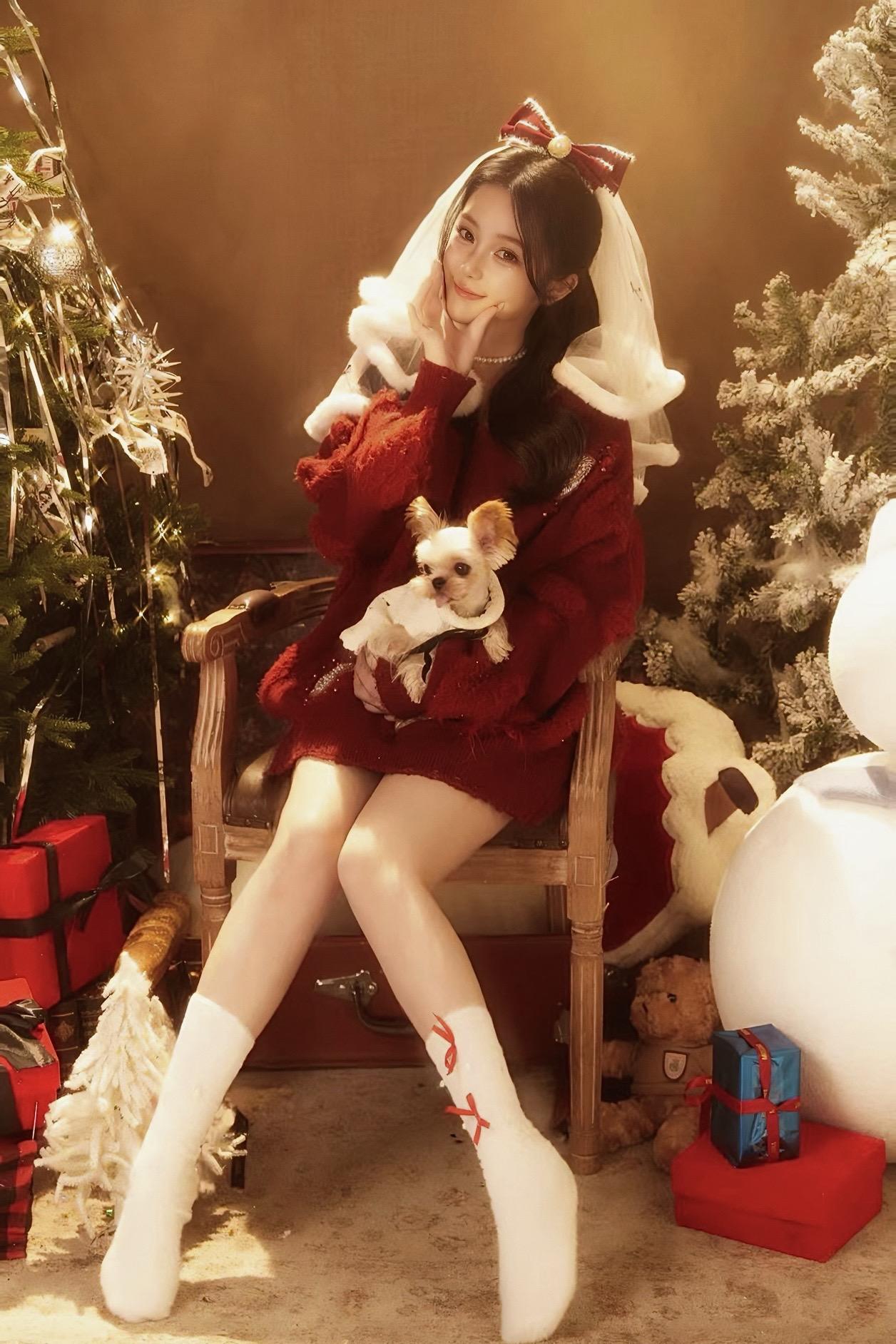 圣诞老人如果你能听见。请让我的小狗愿望都实现