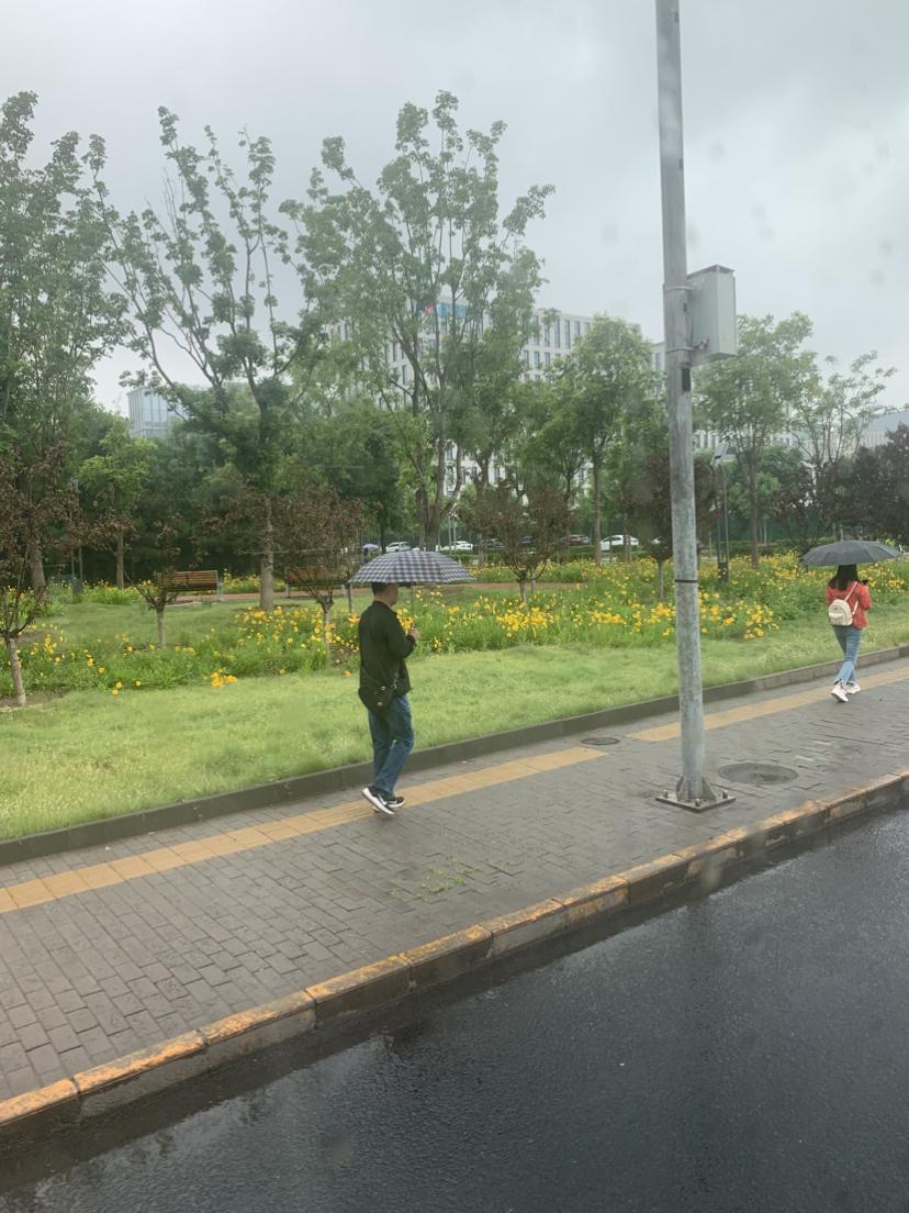 我的今日状态：😁轻松愉快
我这里的天气：🌧下雨
