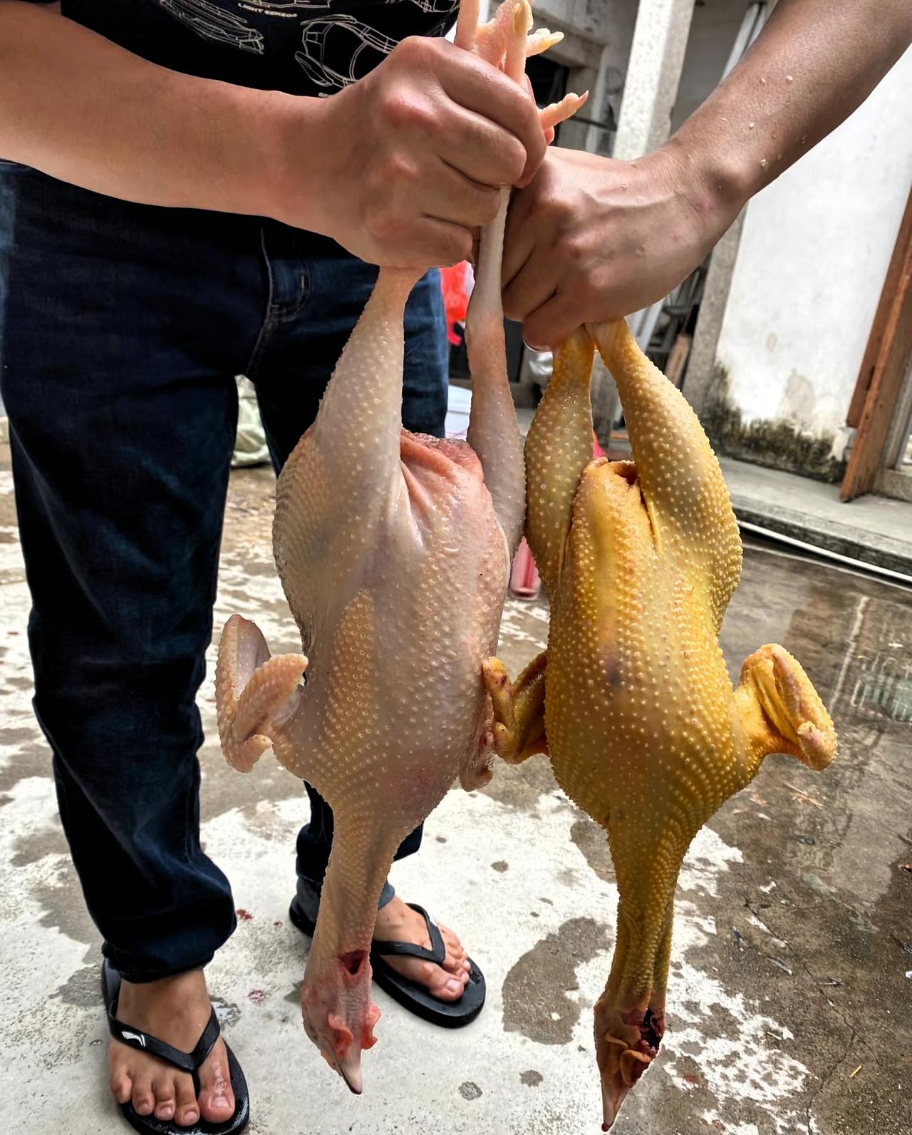 去年舅妈手术，表弟张口借了两万，我没多问，直接转了过去。
 
今日门铃响，是他。