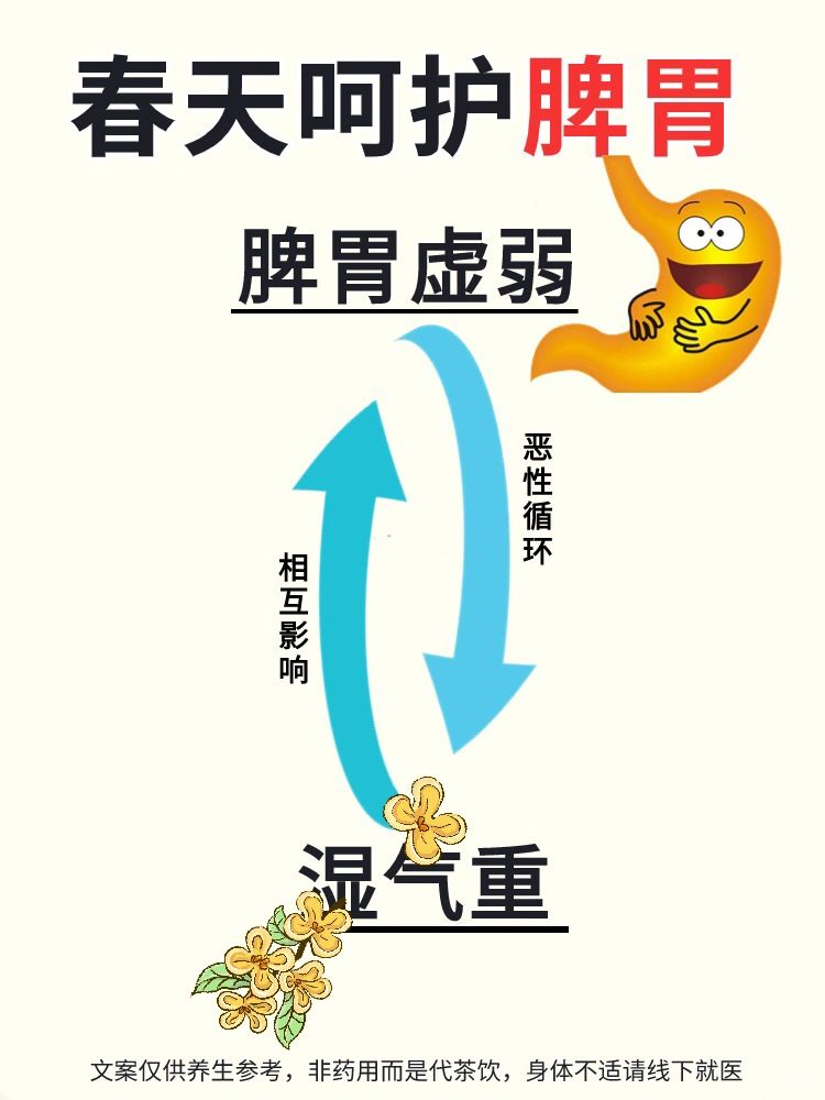 健脾消湿，让身体轻松
