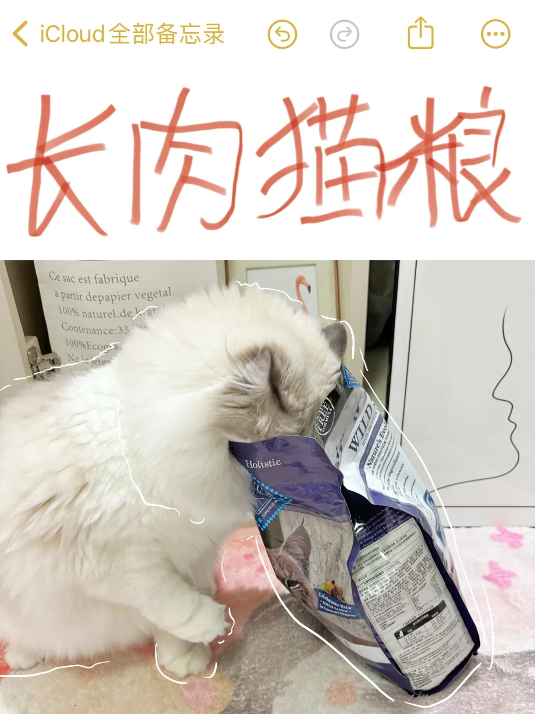 🎊长肉猫粮成功上岸啦