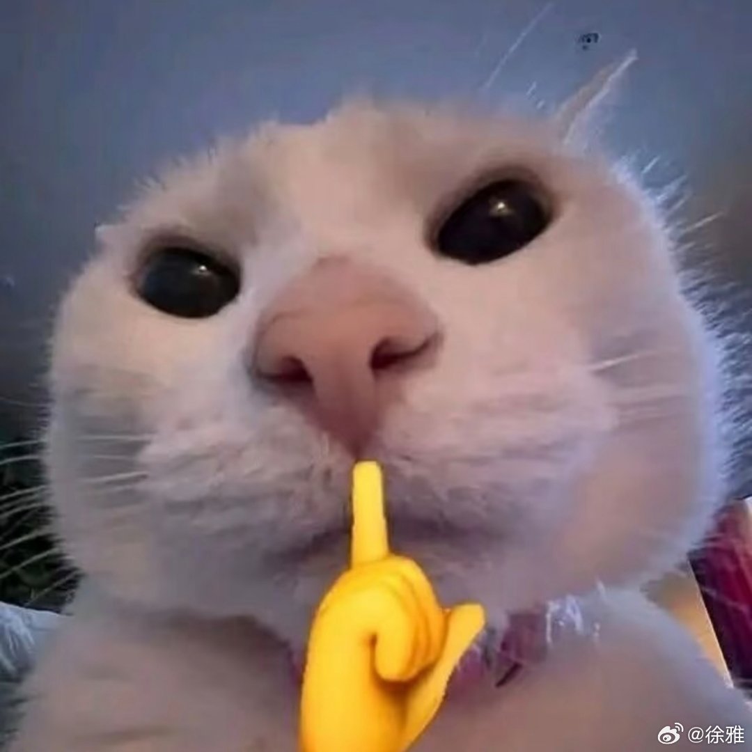 每日表情包分享。 
