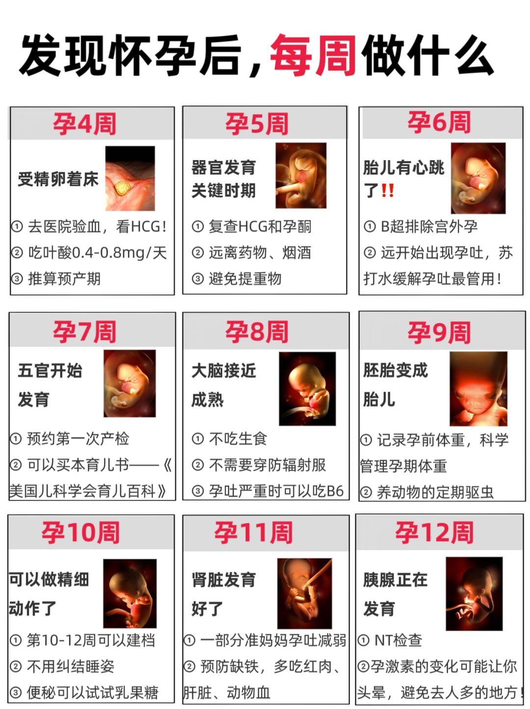 怀孕1-40周要做什么？一篇看完不迷茫❗️