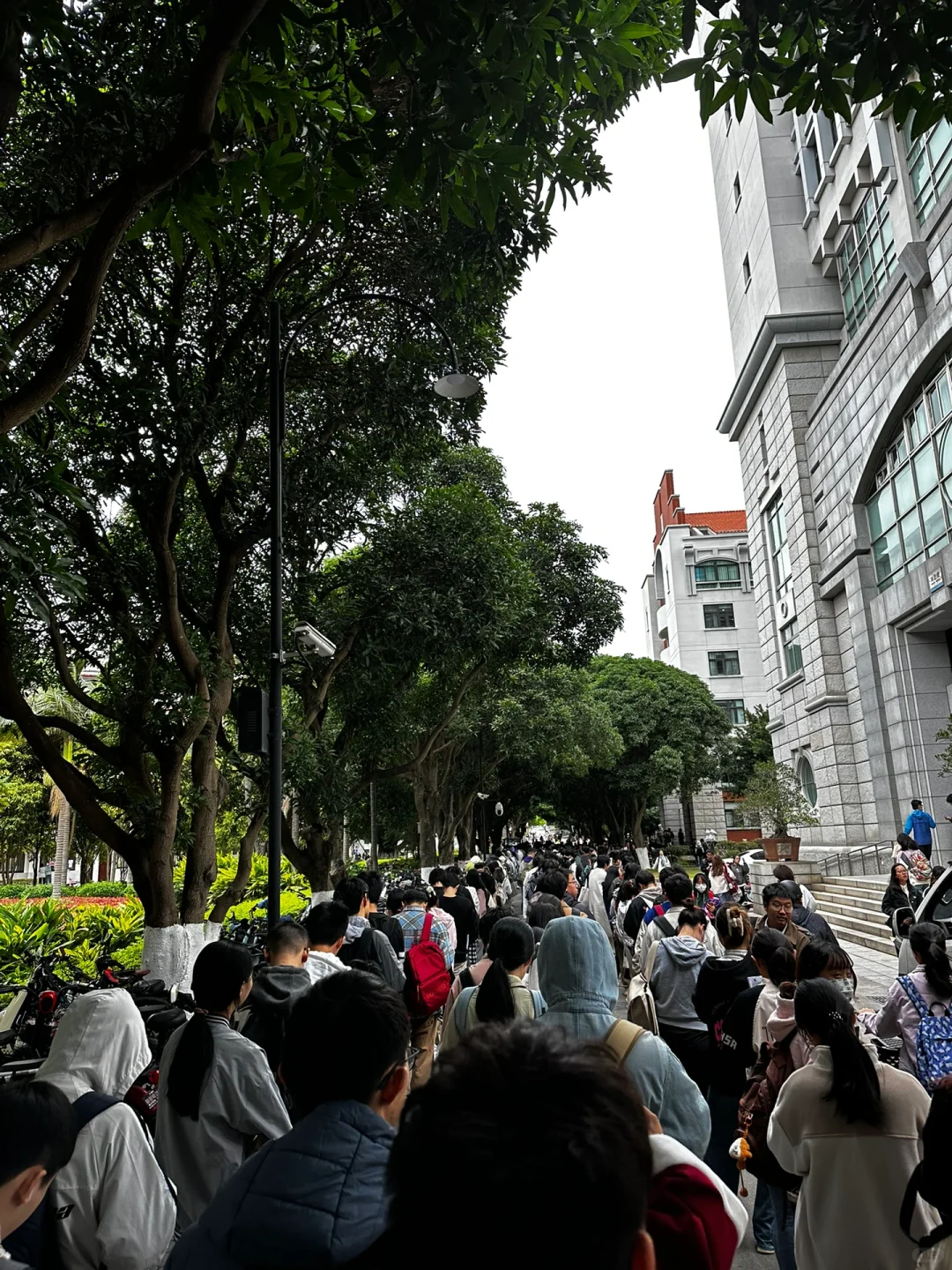 四年民办二本教会我的：要有自己的大学规划