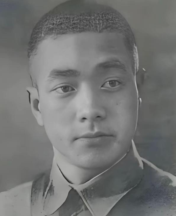 1947年下半年，北平。92军在华北前线的实权将领黄翔正在部署防御计划，一听独子