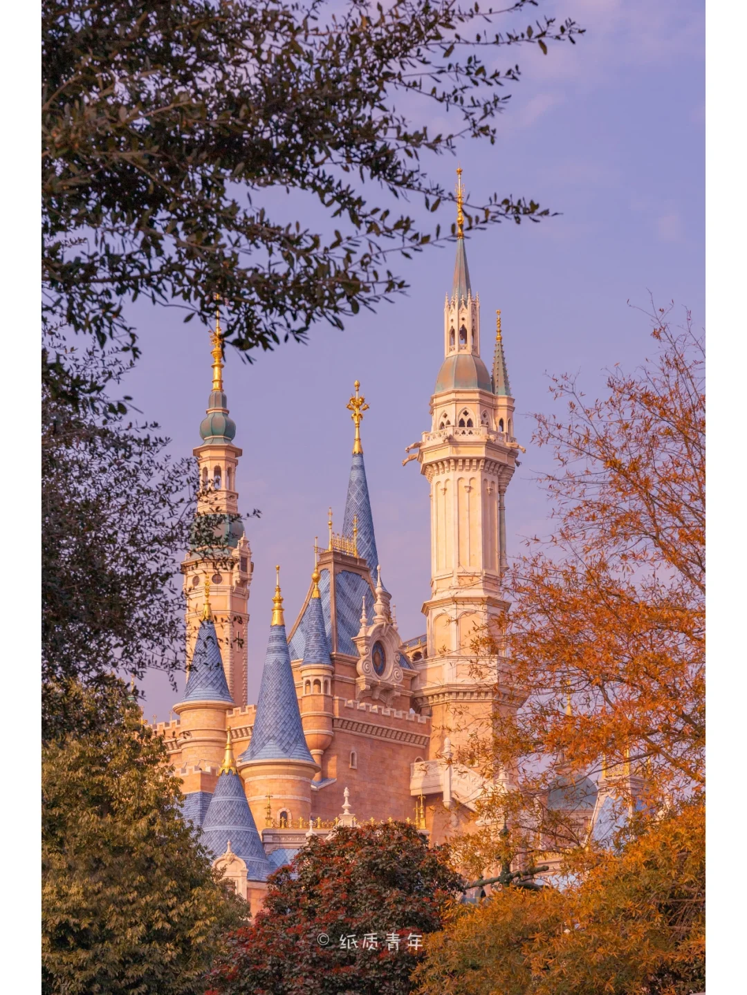 上海迪士尼|不同视角下的奇幻童话城堡🏰