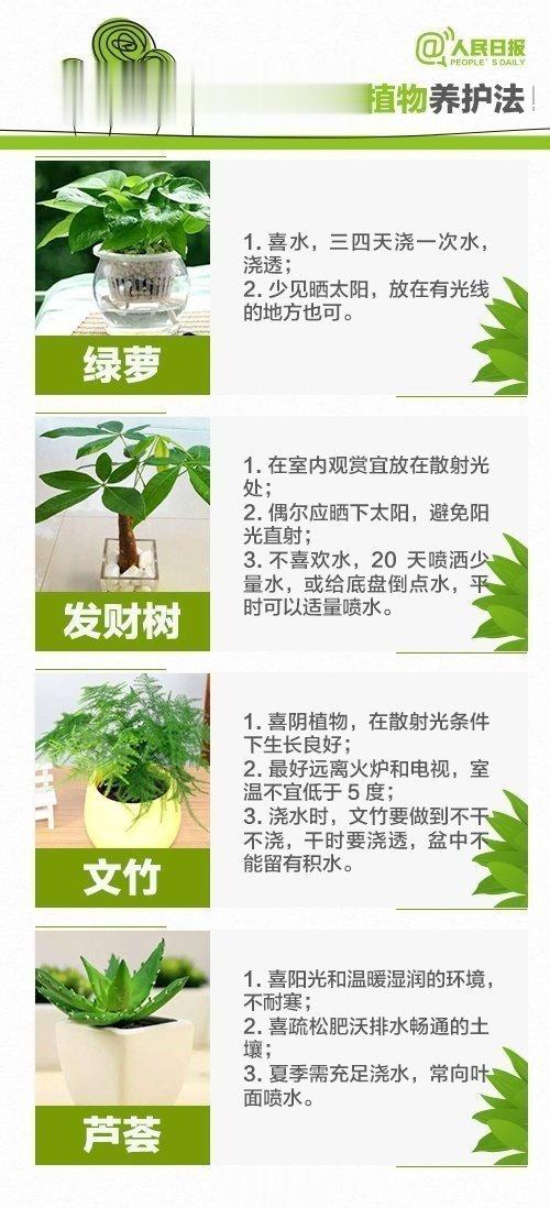 40种常见植物养护法，远离“花草杀手” ​​​