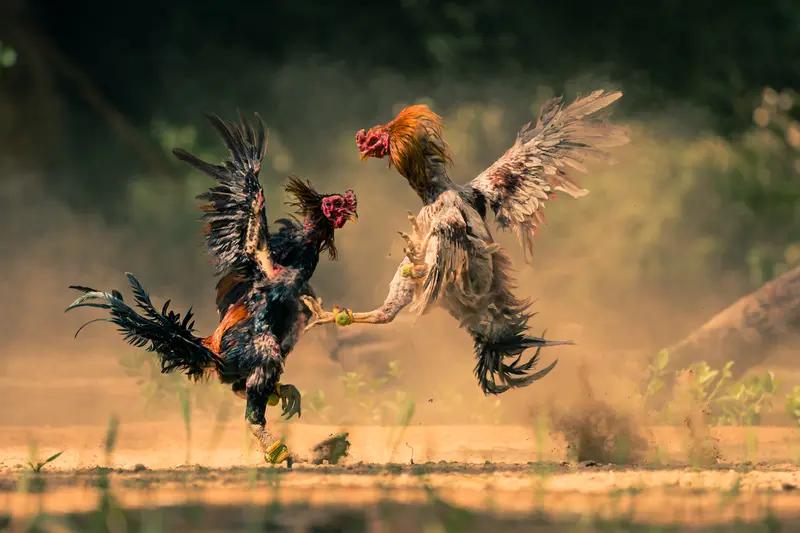 这些年自己的变化 这些年我的变化真不小。以前我争强好胜，爱八卦，像30 - 35