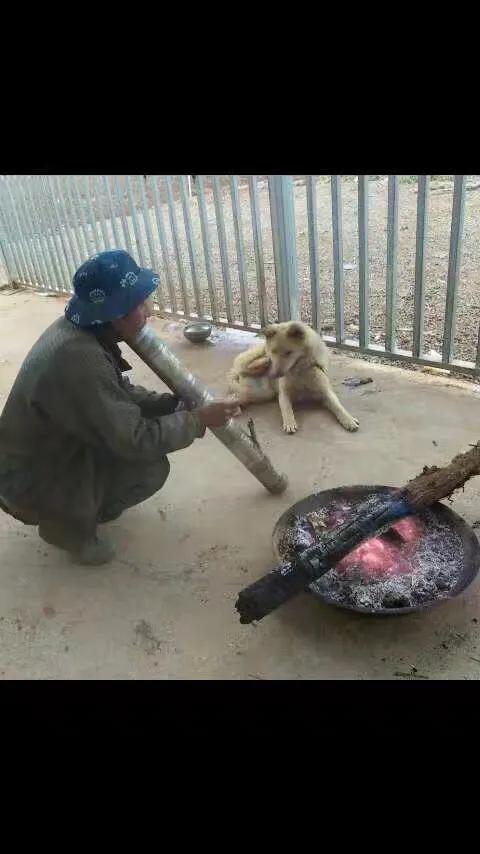 都结冰了，这天气真是寒冷至极。勇敢经历寒冬，充满希望的春天就不远了[玫瑰]