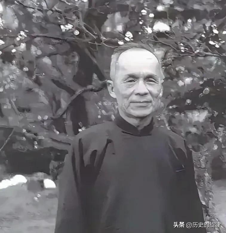 1946年汉奸林柏生临刑求情：别像对待梅思平那样损毁遗体，可卖国之罪终究难逃一死
