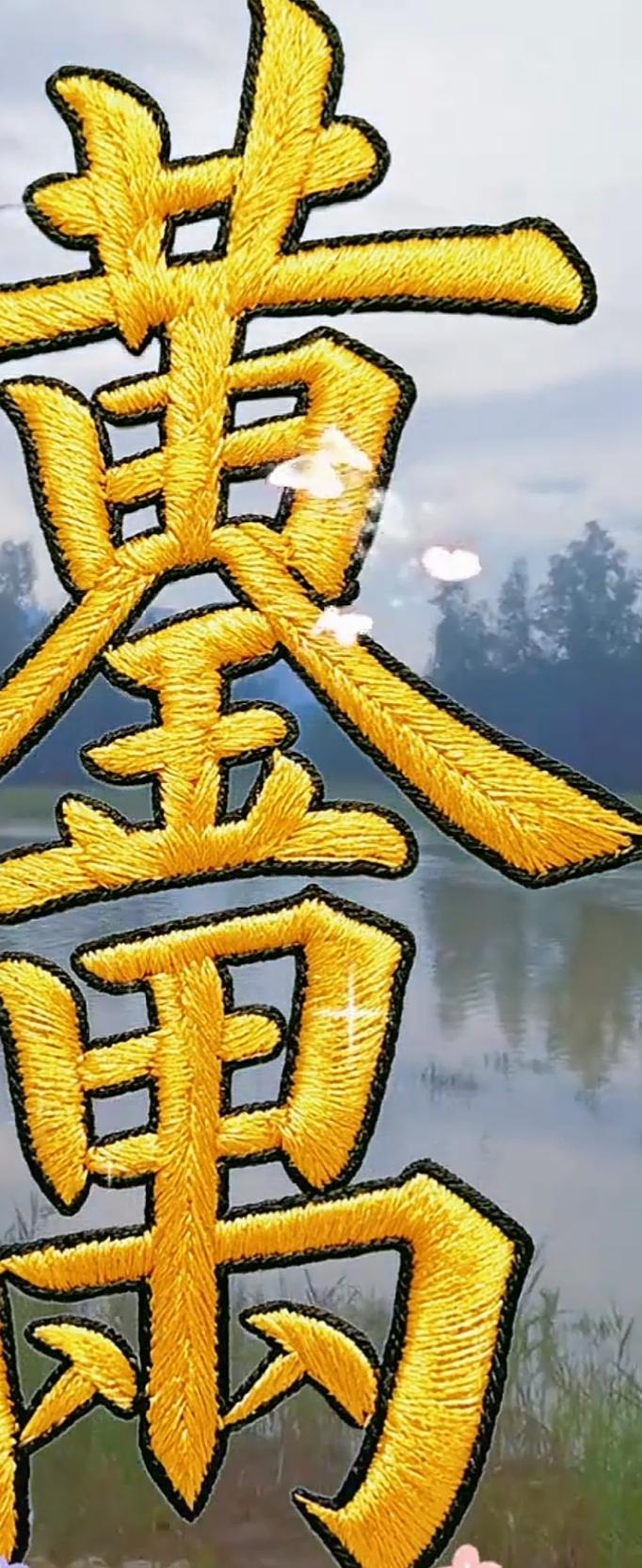 这绣花字真显眼，背景好美！这几个红色的大字很有意义。读出来听一下，我们都有。[作