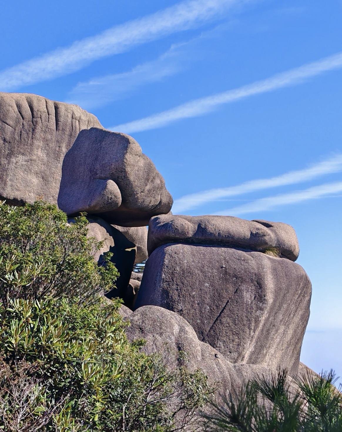 【用一颗平常心，渡世间纷扰，以一抹微笑意，迎人生百态】
        人生就像