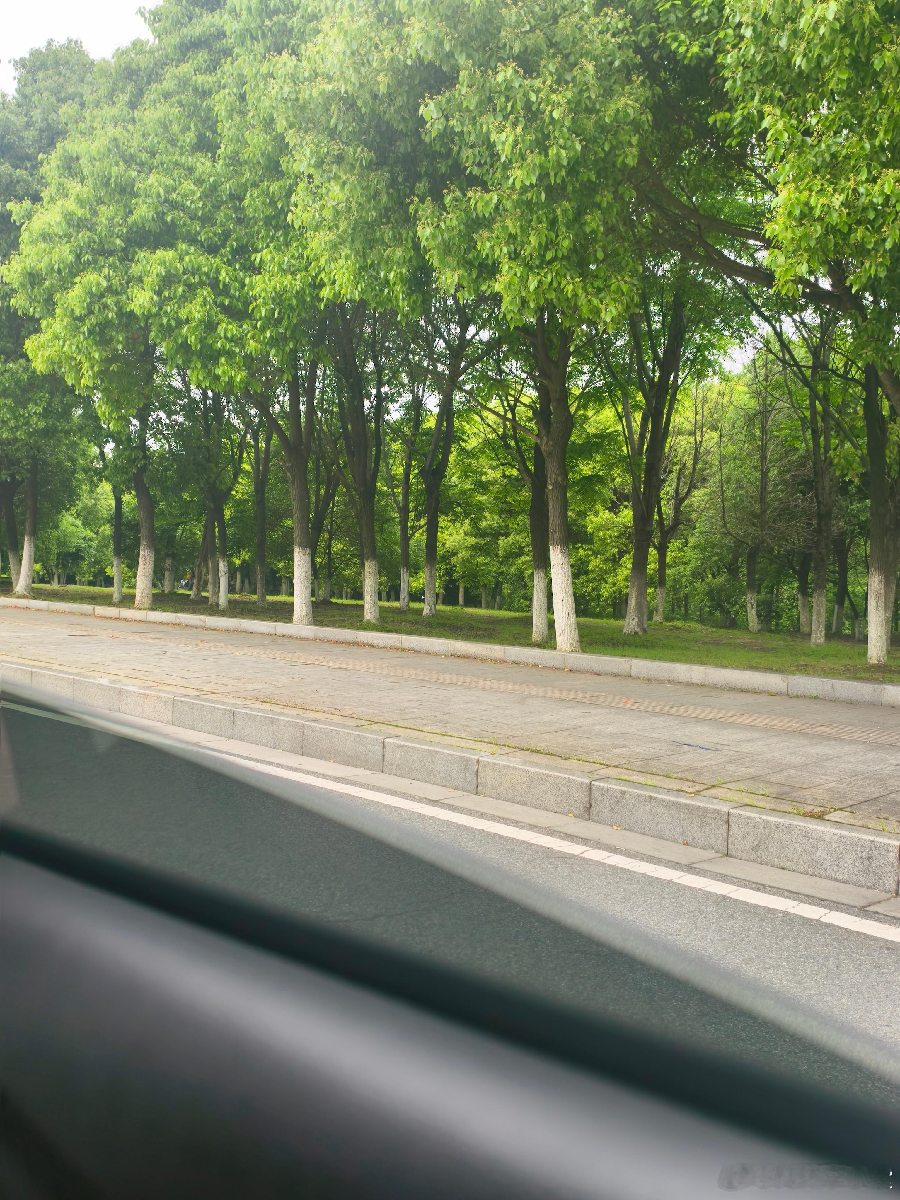 起猛了，一大早打车居然打到了哪吒汽车！这应该是我第一次打到这个牌子而且我这一单还