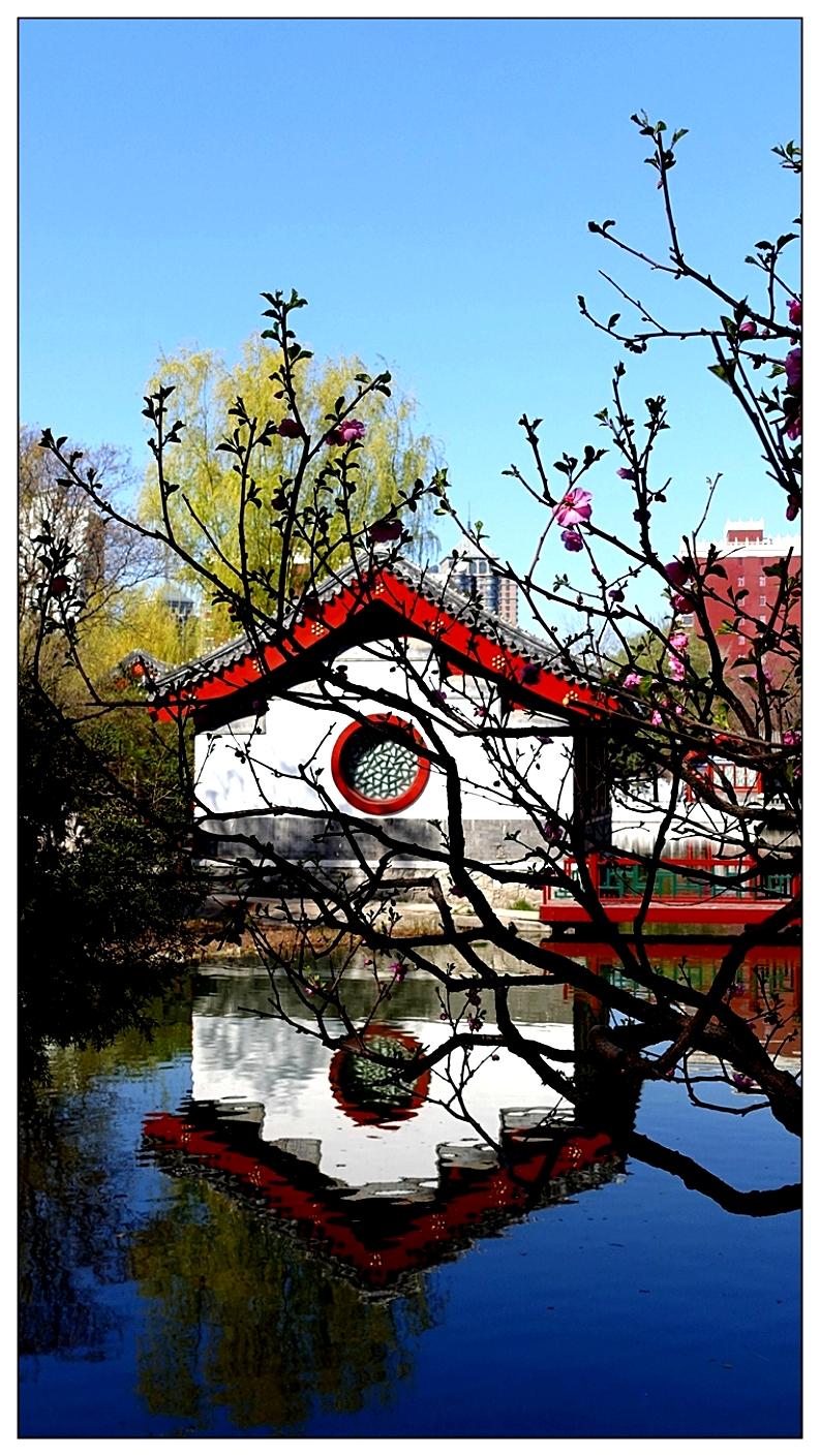 红楼大观园一小景