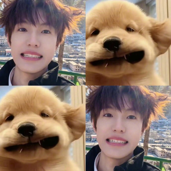 张泽禹先天小狗圣体 天呐，张泽禹这先天小狗圣体太犯规啦！那狗狗眼清澈得像湖水，亮