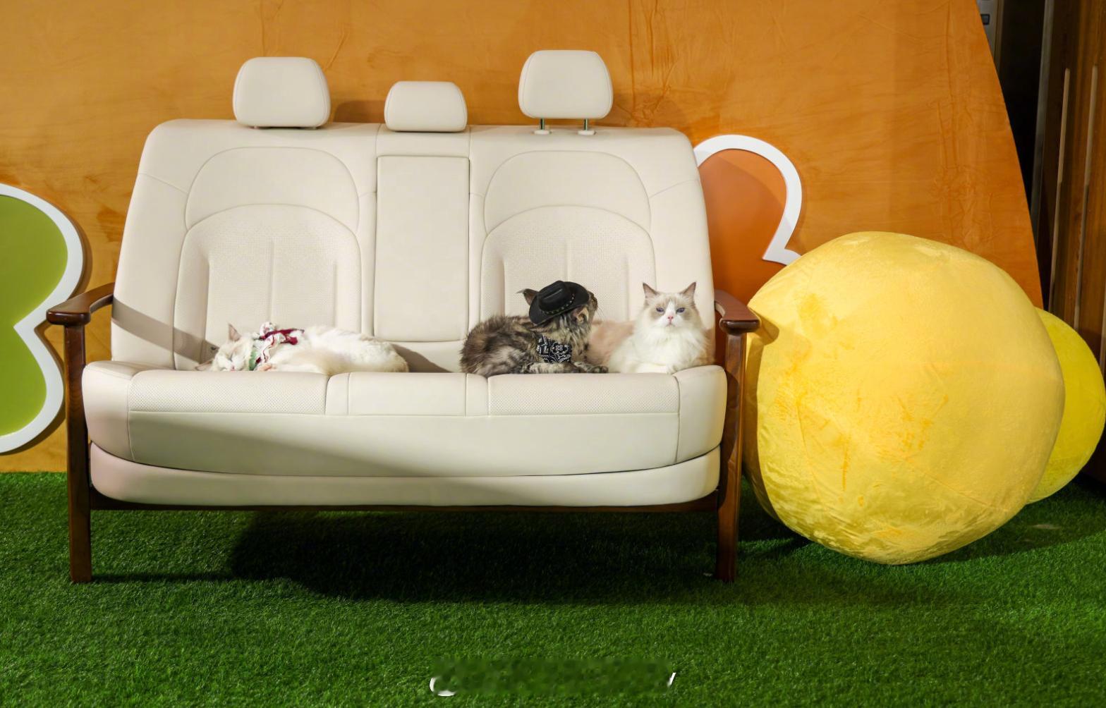 开箱百万级后排大沙发 好家伙的日产的KOL是挺幸福发布会后一点不浪费真打包媒体礼