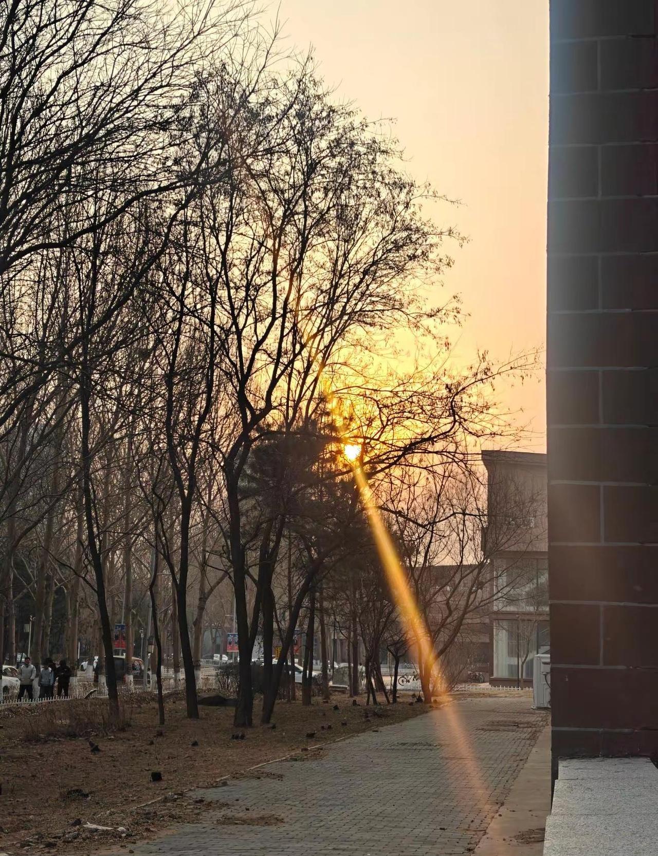 一觉醒来又是三月飞雪 沈阳同城 三月飞雪