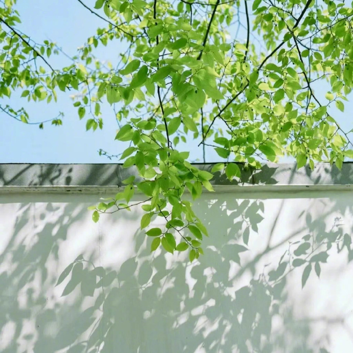 “  生活在喜怒哀乐间走走停停，  不知道会遇见什么，  只知道阳光这么好，别辜