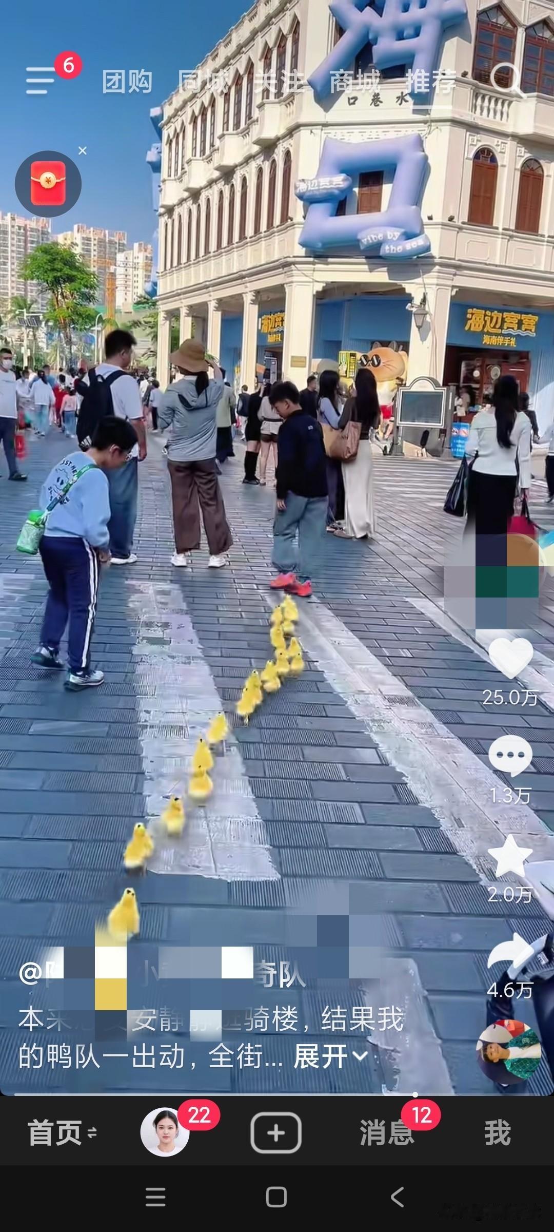 这群小鸭子太可爱了，他们会一个个的排着队，跟着人去逛街，引来很多游客观看，这些小