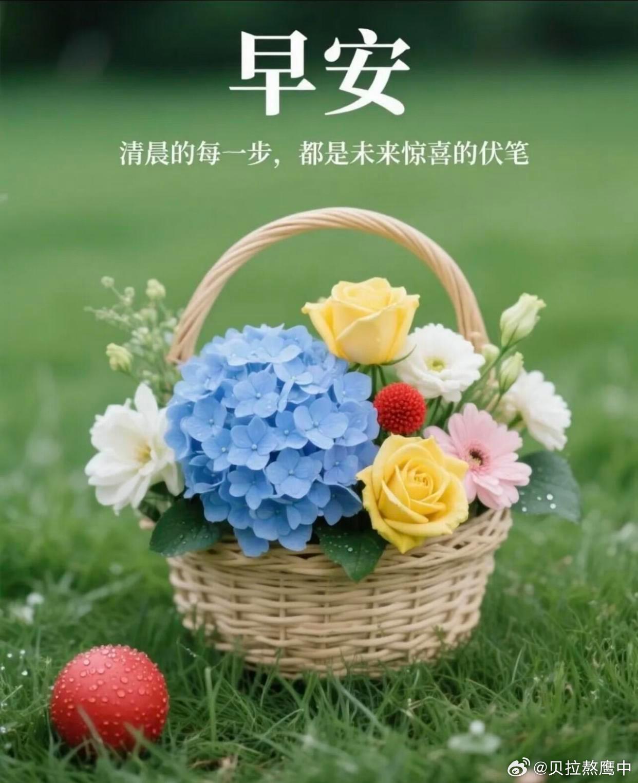 早安 “给生活留个缝隙，阳光才能照进来。早安！” 