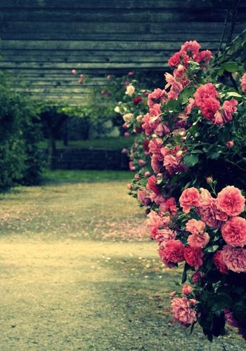 哎呀，这故事简直是爱情的“闪电侠”版本啊！一见钟情，认识第二天就求婚，这操作，真