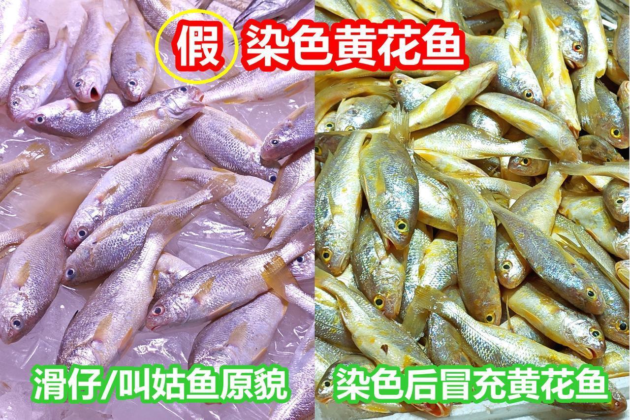 小心染色黄花鱼，实为滑仔（叫姑鱼），别买

广州荔塱市场，常有染色海鱼出售。图中
