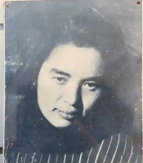 1975年，叶飞将军到杭州找郑少仪，揭开35年前救命恩人的故事！当年郭村保卫战，