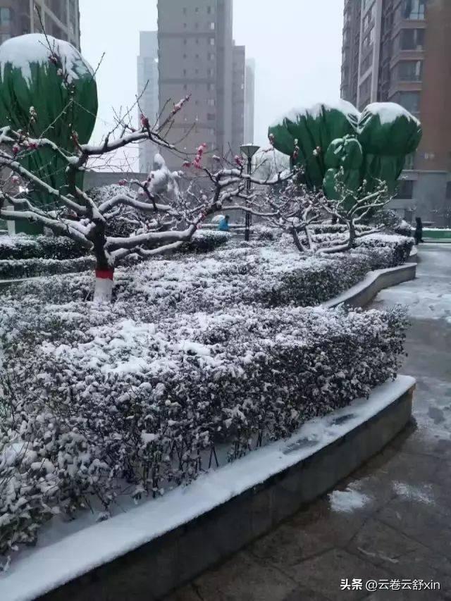 《西江月·春雪》

晓起楼台素裹，
街衢车过琼融。
暖云轻绕阴小城，
玉屑斜飘风