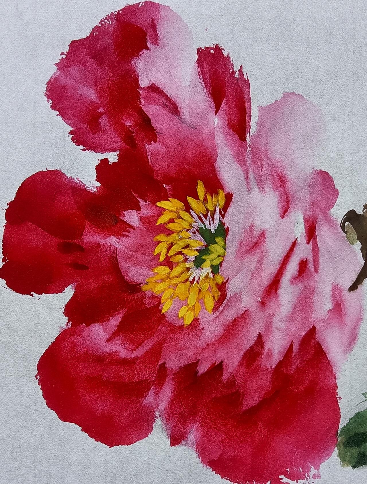 侧面花朵