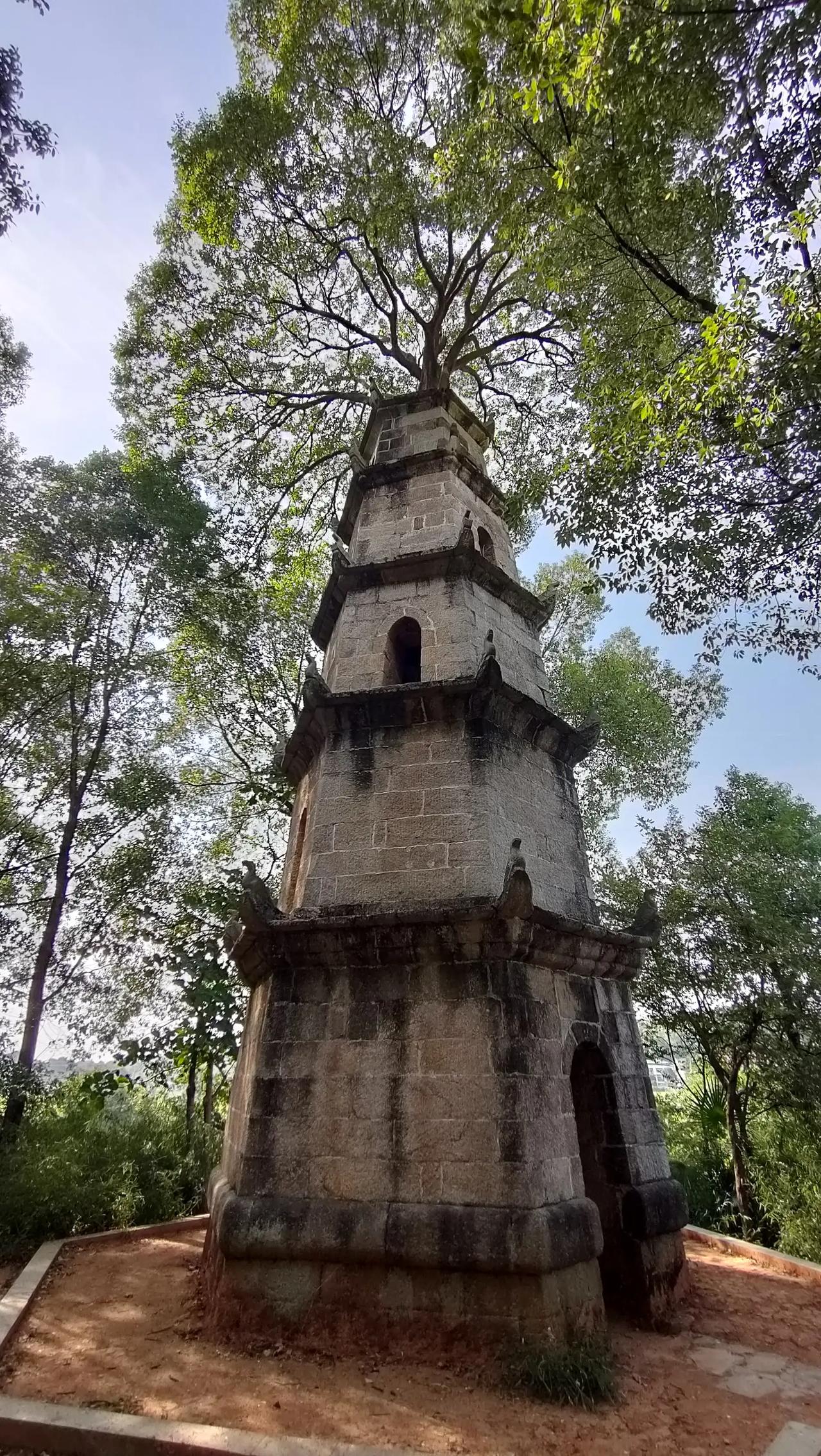 现场看真的很神奇，整整齐齐就像寄生一样。完全融为一体，湖南长沙惜字塔#抖in中秋