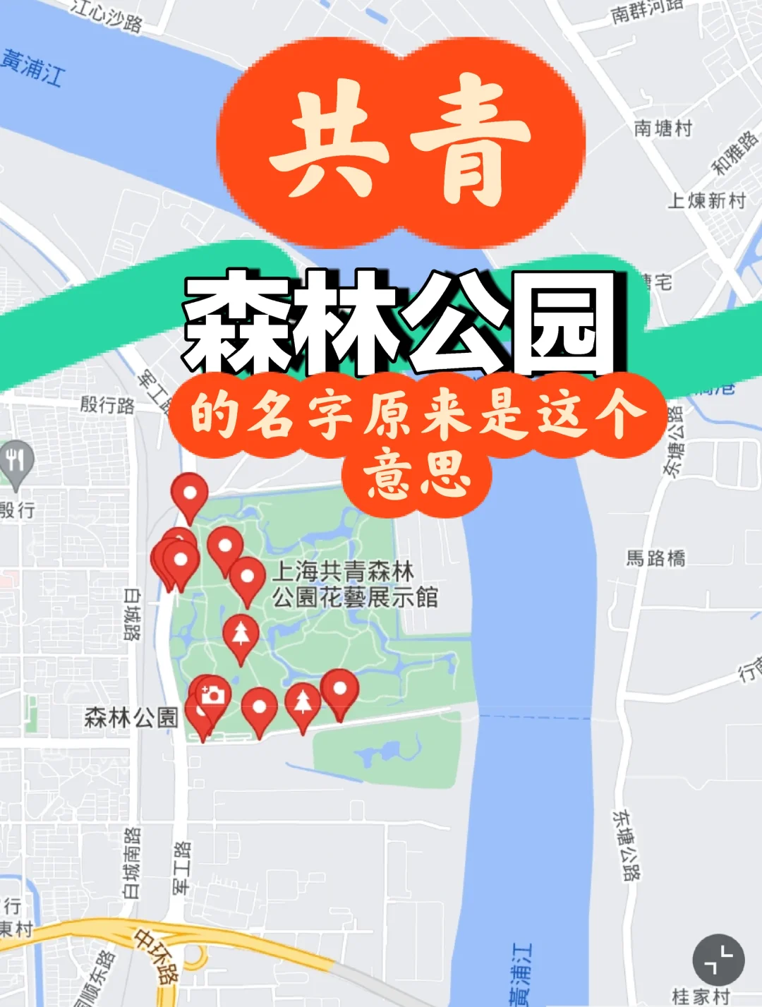 现在遛娃圣地共青森林公园的名字原来是？