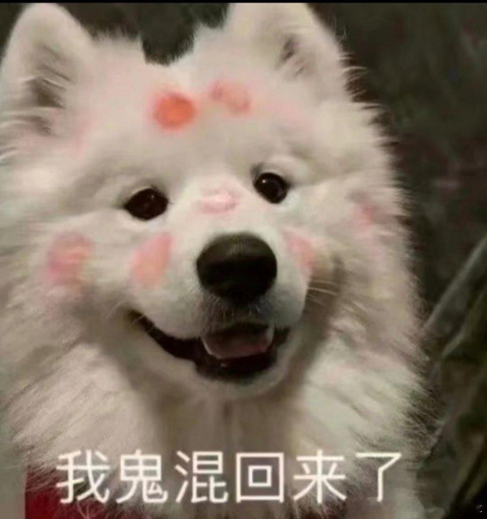 所以错过了什么瓜吗今天！ ​​​