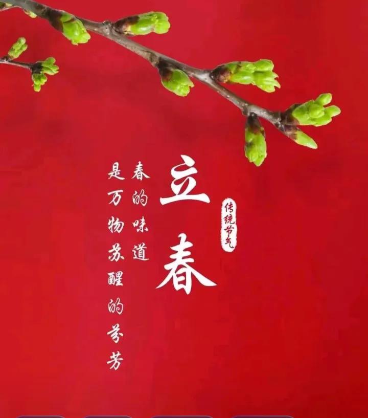 今日立春，和冬天告别，与春天相拥。冬去春来暖阳生，东风醒物草木萌。愿所有的美好，