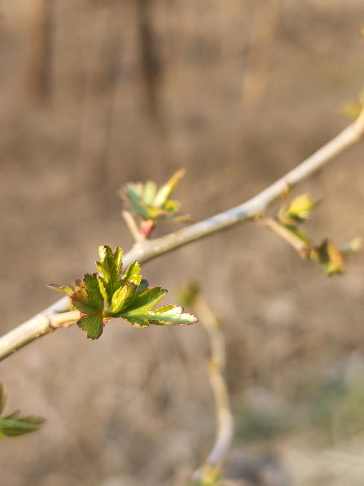 中国道教协会副会长张高成道长说，凡是心理有问题的人，都是性格比较认真负责，追求完