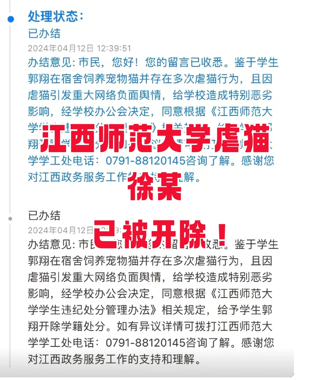 虐猫是什么心理！怎样才能不养出这种败类？