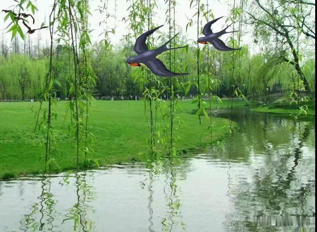 今日立春，立春是节气之首，立春，开启了新一轮的二十四节气的轮回，预示着春天来啦，