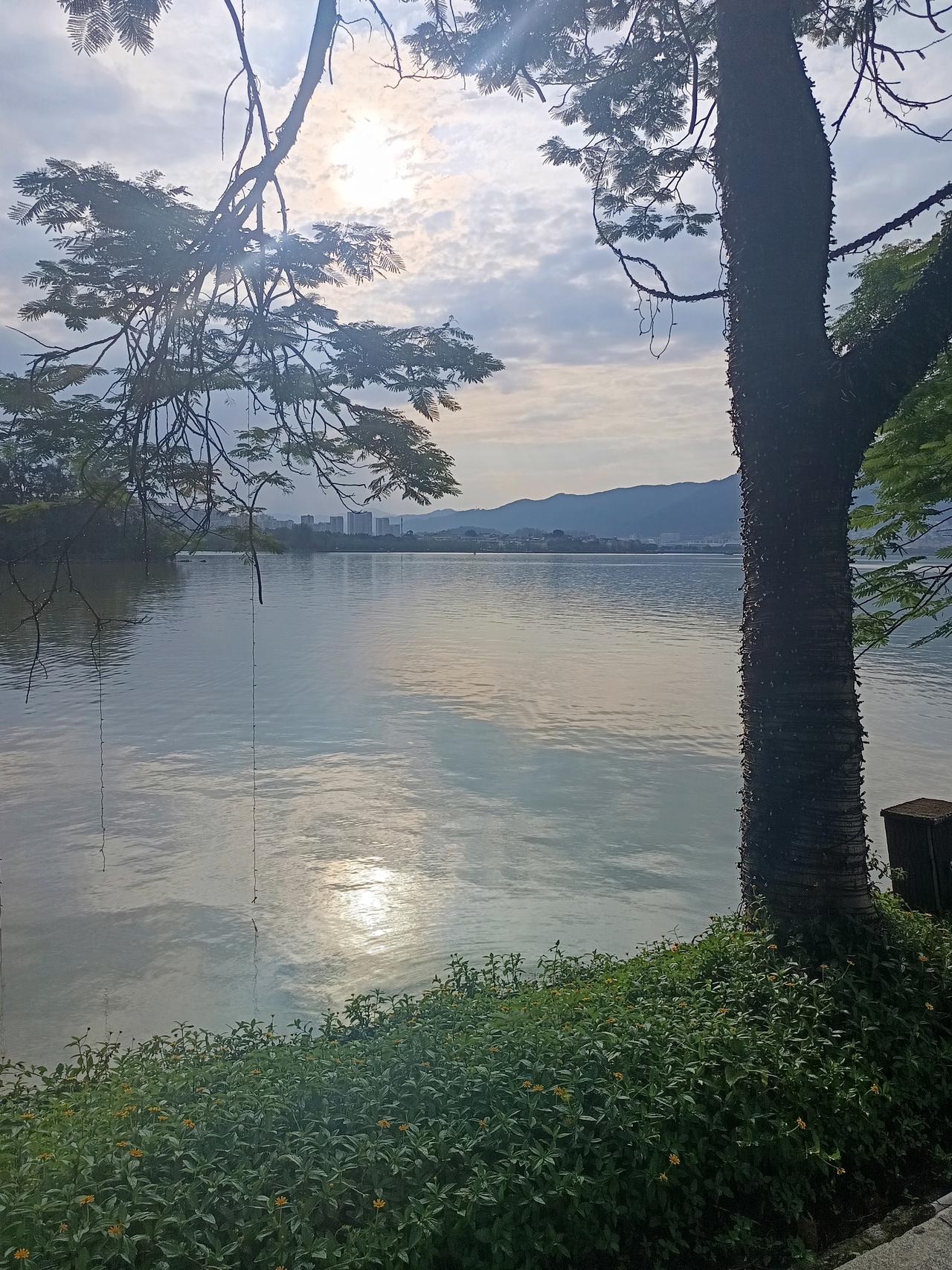 我在肇庆的星湖
发现一个很严重的问题
但不知道怎么说才好




你敢相信吗？这