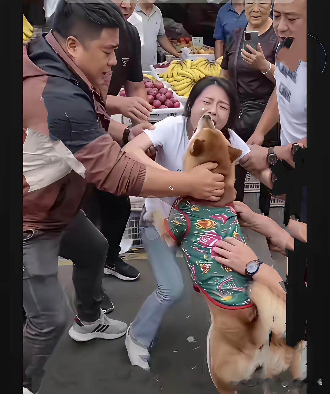 宠物狗•狗性主人夸口“狗儿”不咬人，结果与狗儿亲热时，把其舌头咬住了。