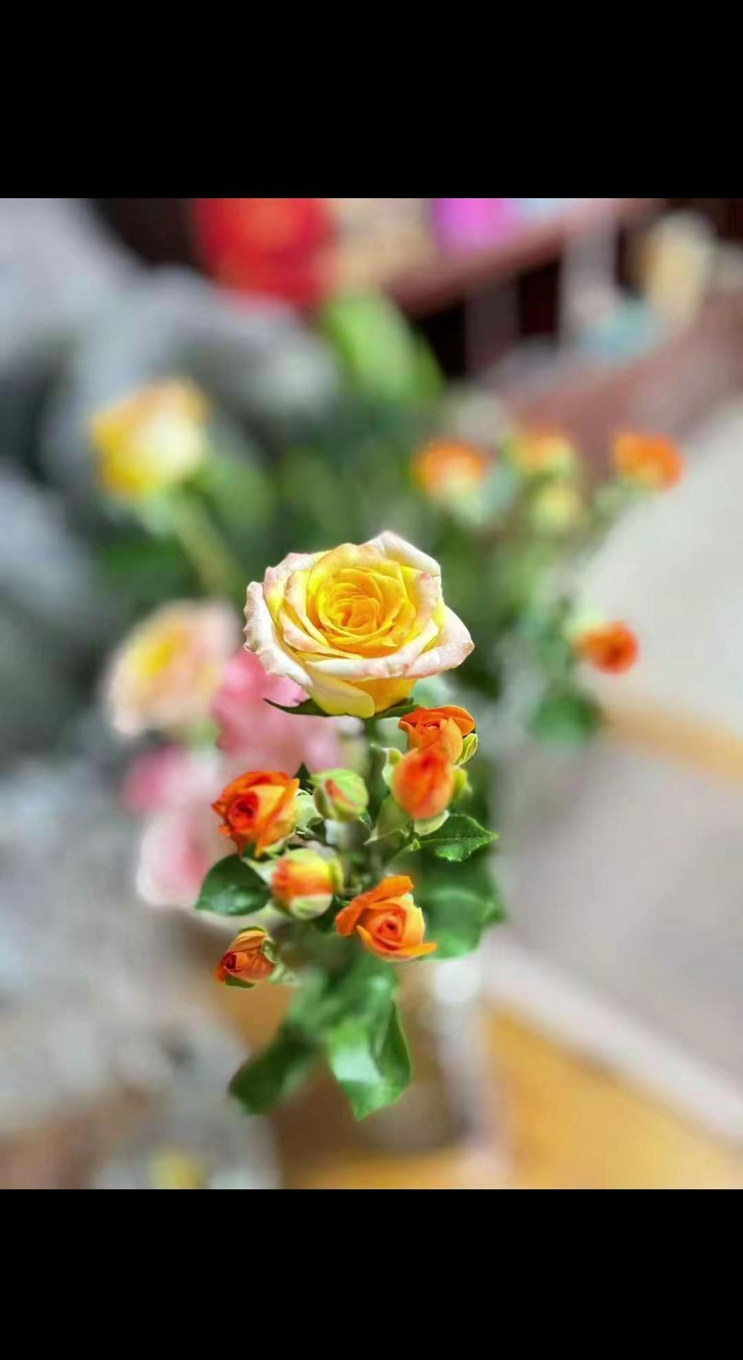 鲜花带来的恬静与安然。慢也好，步子小也好，是再往前走就好。