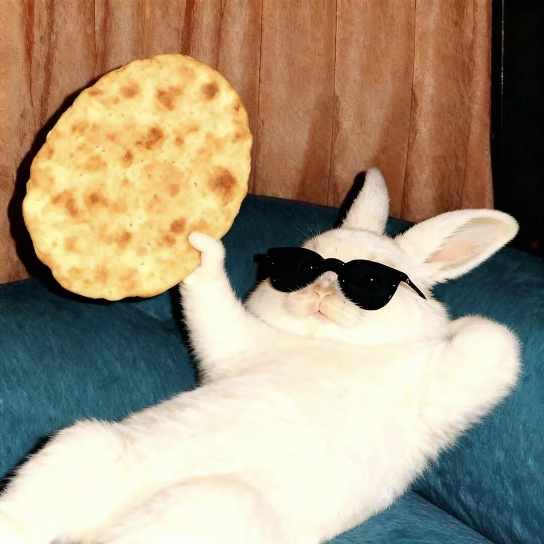 🐰兔叽 