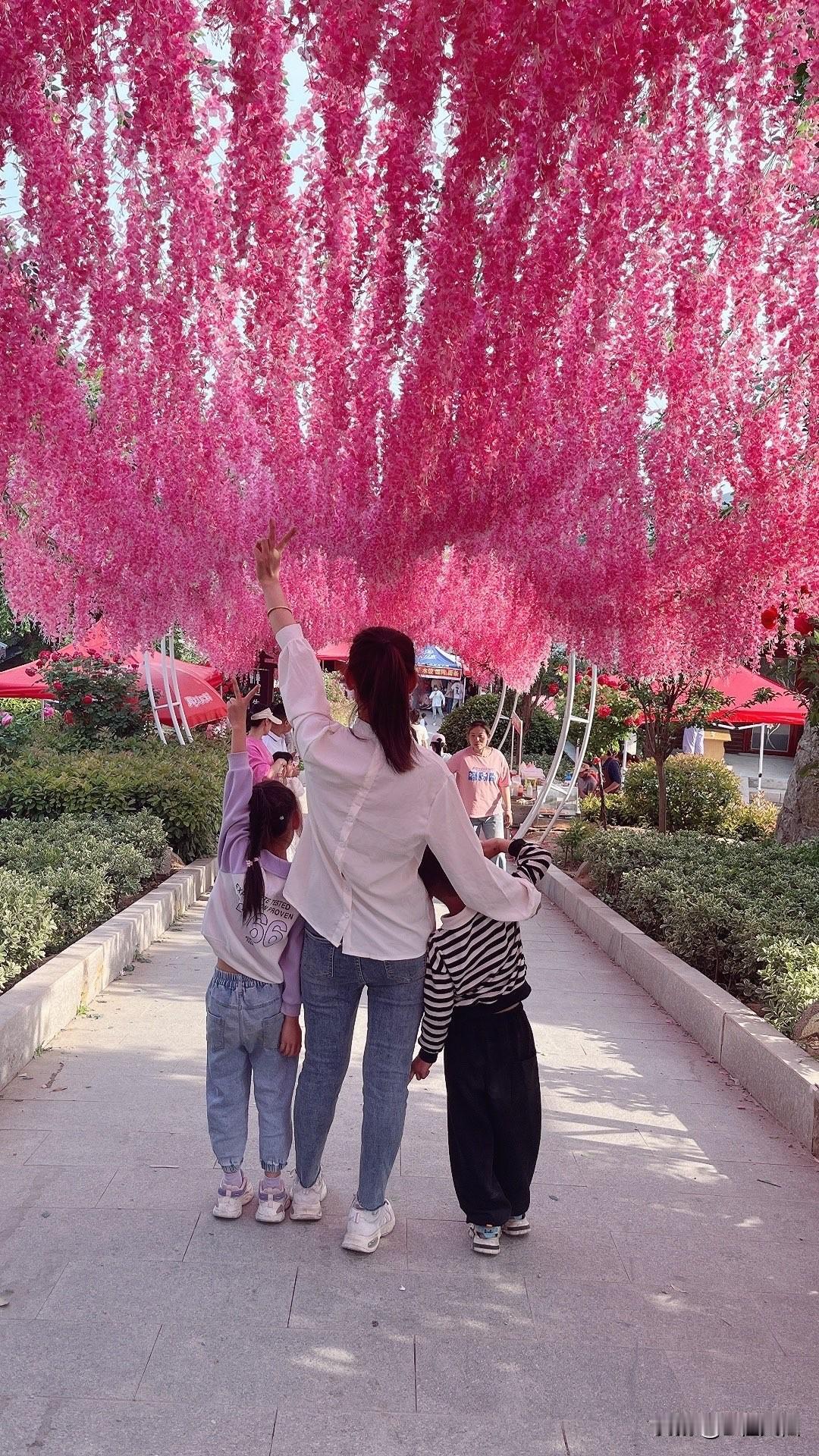 秋日生活打卡季这个秋天有点冷🥶