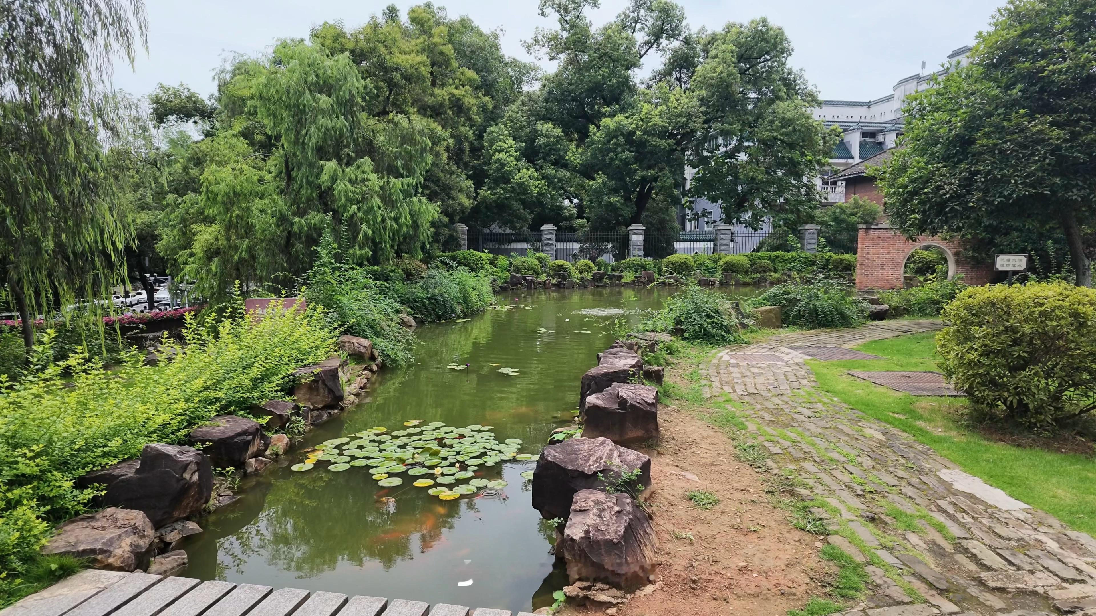 满山野风，轻松又自在⛰️和NOVA湘遇NOVA去哪儿瓦星情报站NOVA无畏契约 